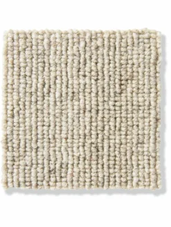 Catania|Kibek Clearance