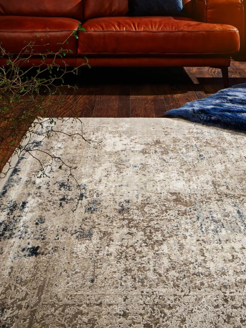 Concinnity|Kibek Best