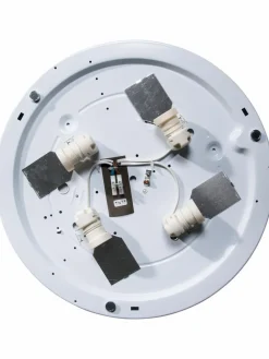 Cookie Fibre|Kibek Online