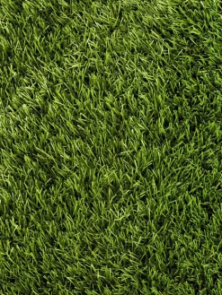 Country Side|Kibek New