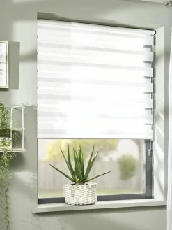 Duo Starlight|Kibek Best