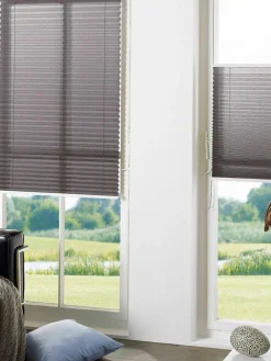 Easy Plissee Star|Kibek Sale