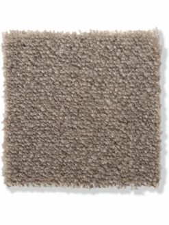 Emotion|Kibek Discount