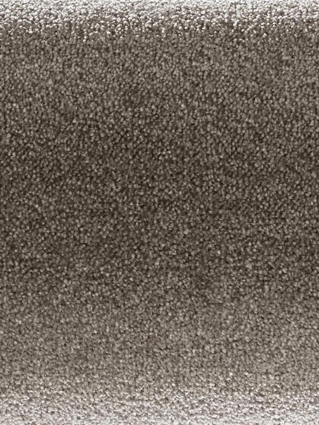 Emotion|Kibek Discount