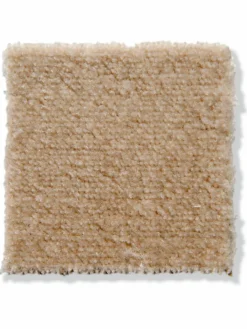 Emotion|Kibek Clearance