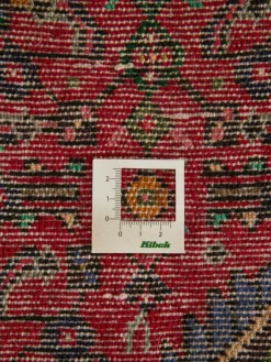 Endjelas Hamadan|Kibek