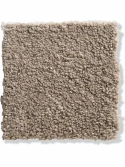 Exclusiv|Kibek Online