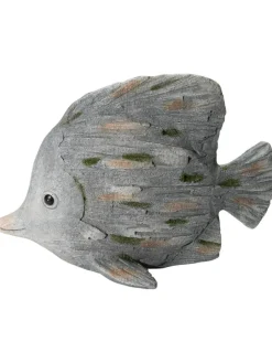 Fisch Wanda|Kibek Sale