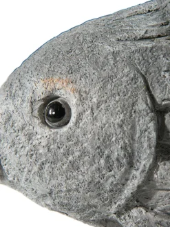 Fisch Willi|Kibek Online