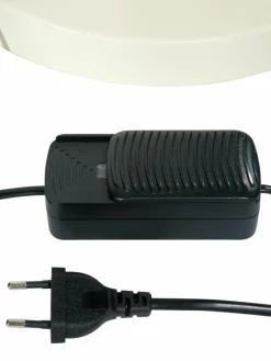 Frances|Kibek Online