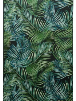 Galapagos|Kibek Best