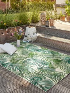 Galapagos|Kibek Outlet