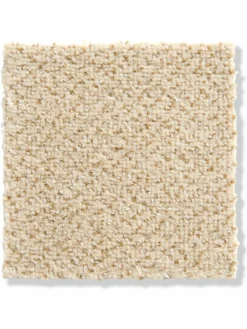 Galerie|Kibek Online