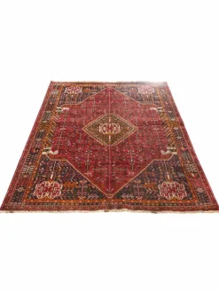 Gashgai|Kibek Clearance