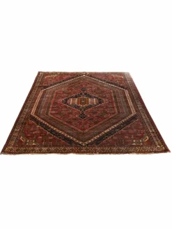 Gashgai|Kibek Clearance