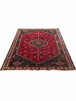 Gashgai|Kibek Discount