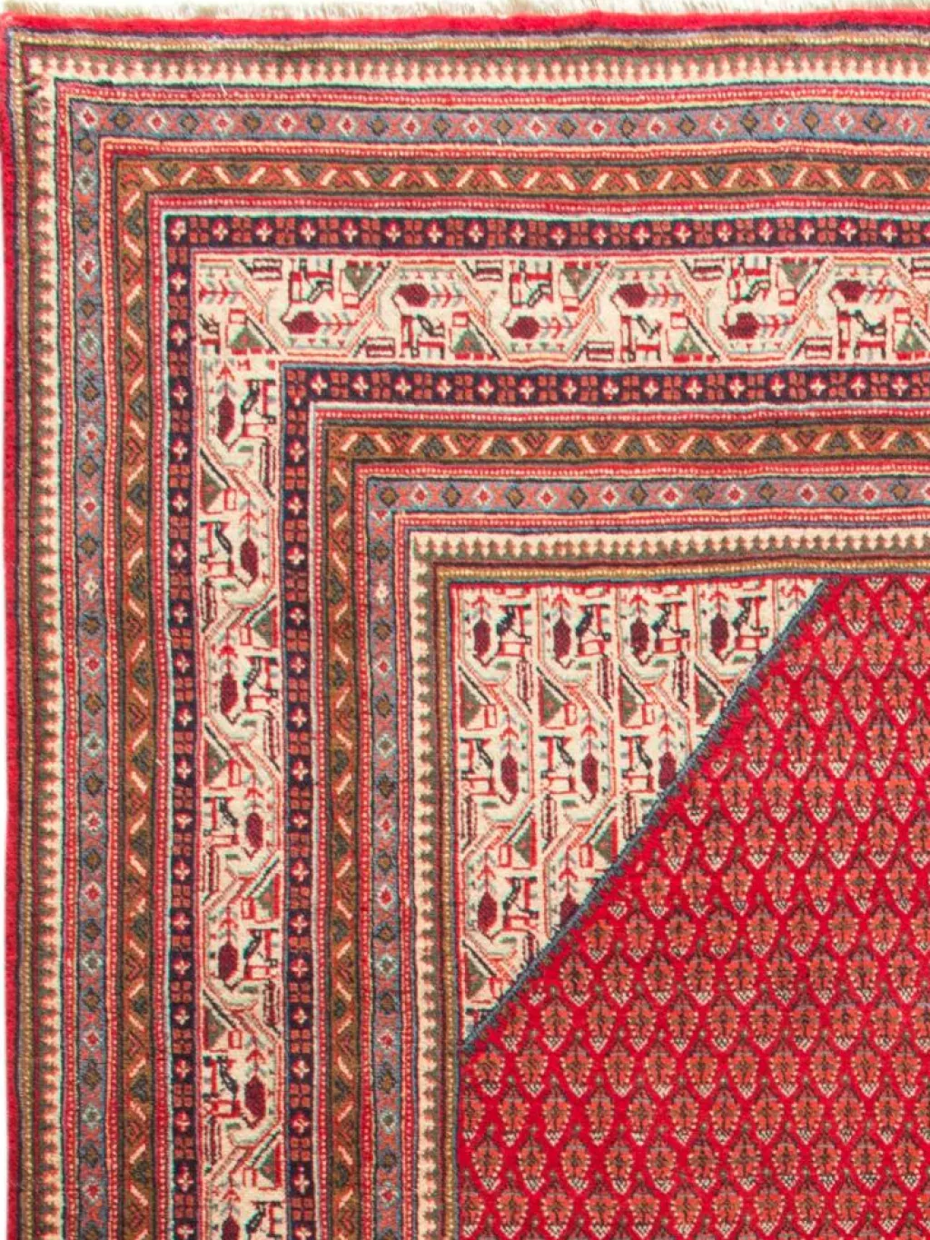 Gashgai|Kibek Online