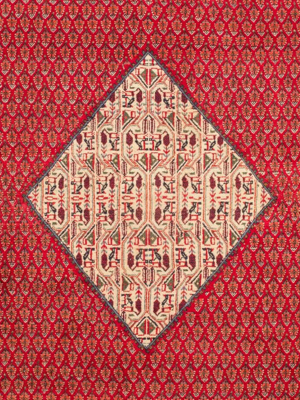 Gashgai|Kibek Online