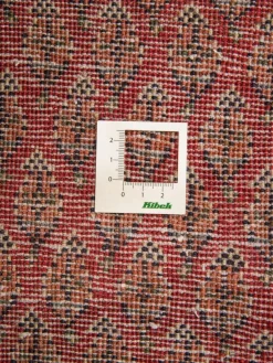 Gashgai|Kibek Online