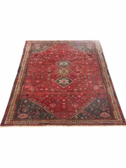 Gashgai|Kibek Clearance