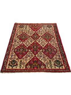 Gashgai|Kibek Clearance