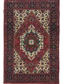 Goltogh|Kibek Discount