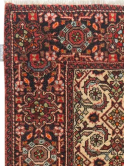 Goltogh|Kibek Outlet