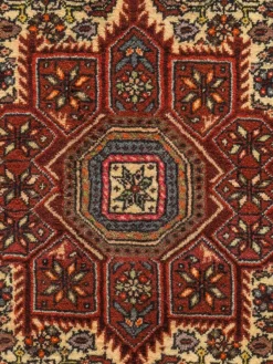 Goltogh|Kibek Outlet