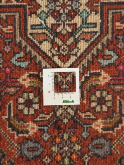 Goltogh|Kibek Outlet