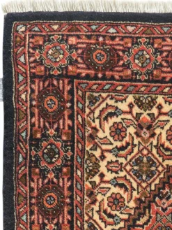 Goltogh|Kibek Clearance