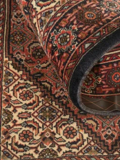 Goltogh|Kibek Clearance