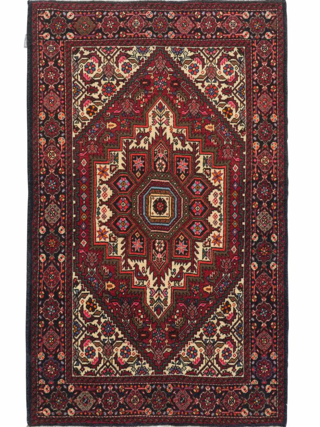 Goltogh|Kibek Outlet