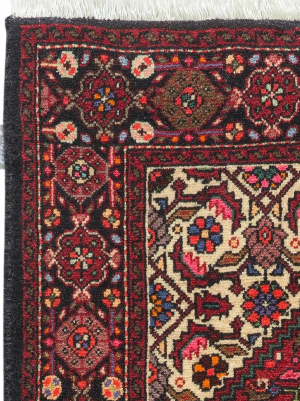 Goltogh|Kibek Outlet