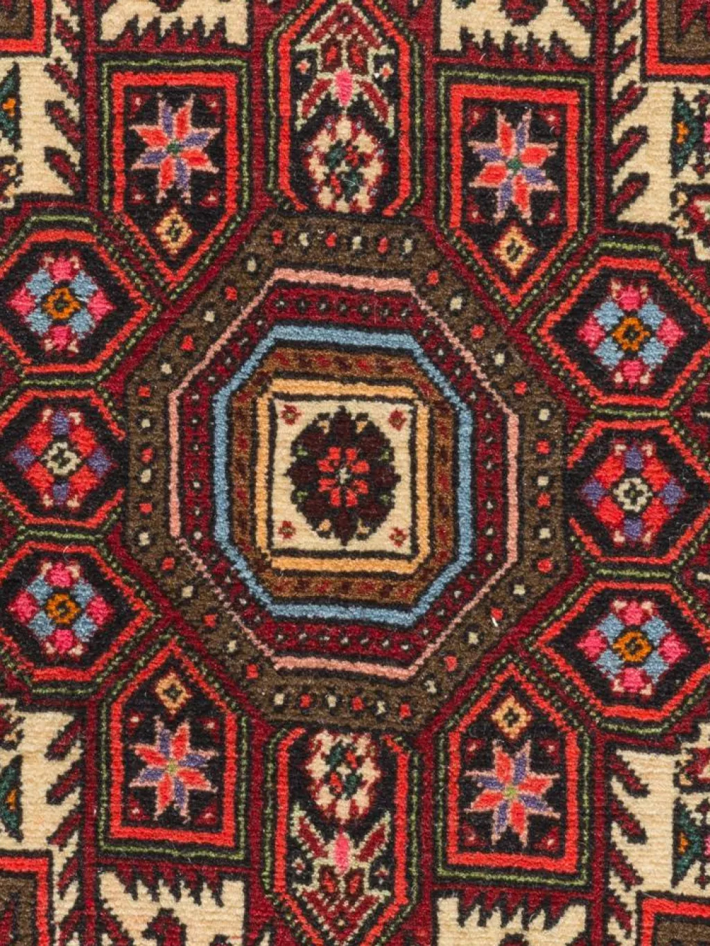 Goltogh|Kibek Outlet