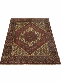 Goltogh|Kibek Discount