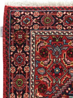 Goltogh|Kibek Discount