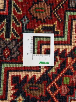 Goltogh|Kibek Discount