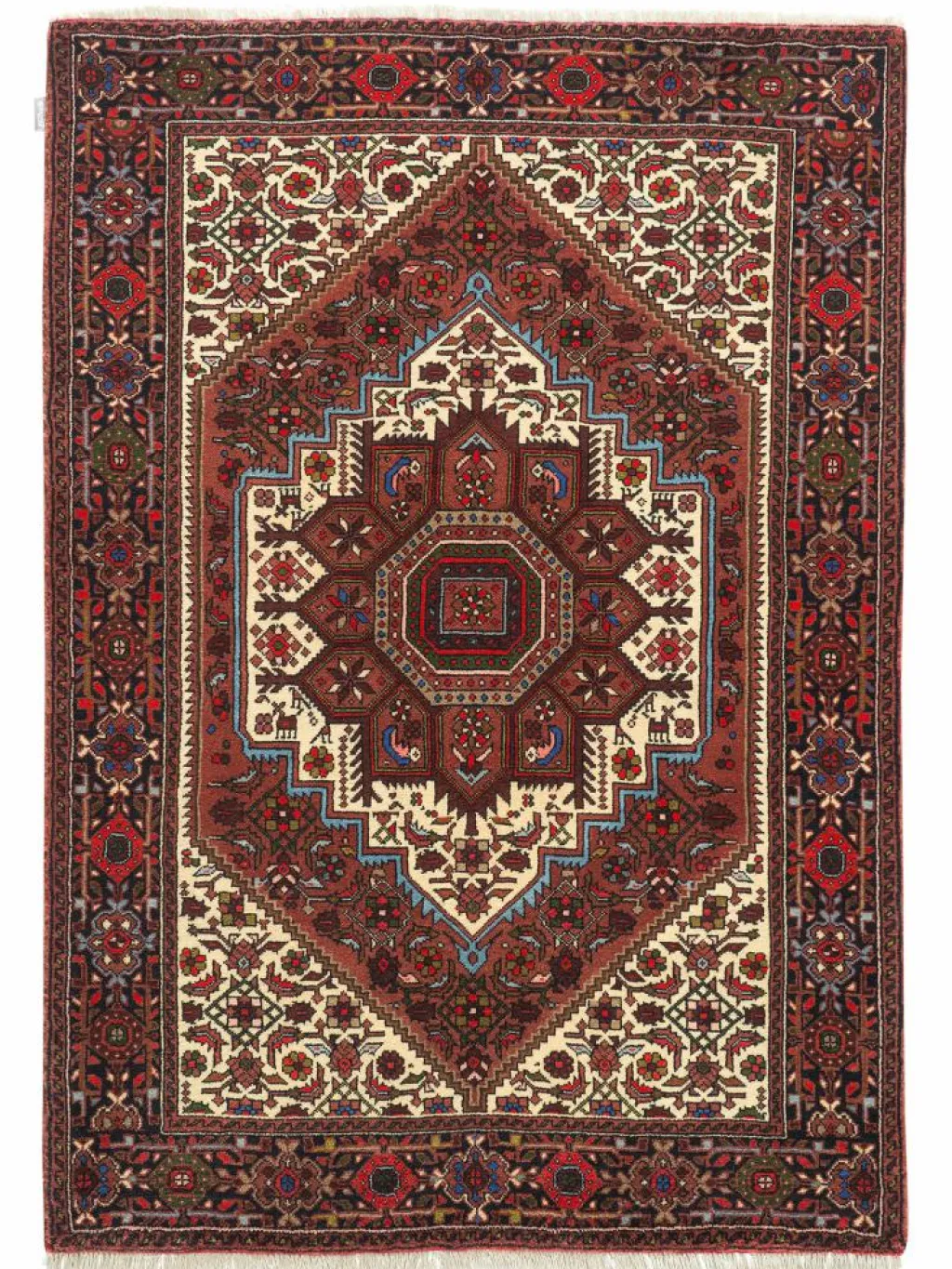 Goltogh|Kibek Online