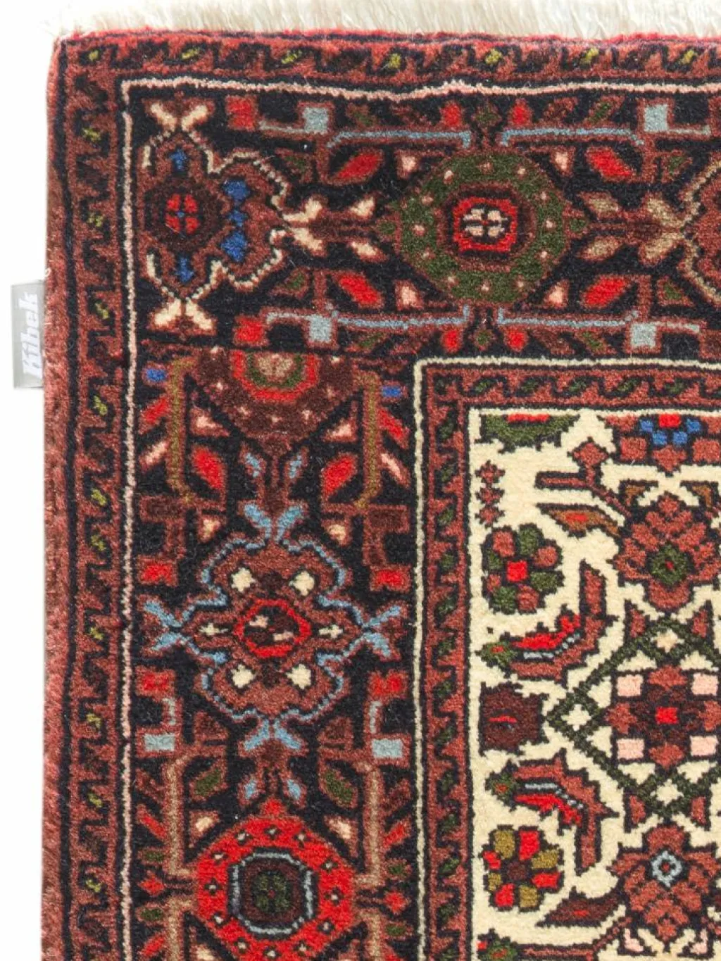 Goltogh|Kibek Online