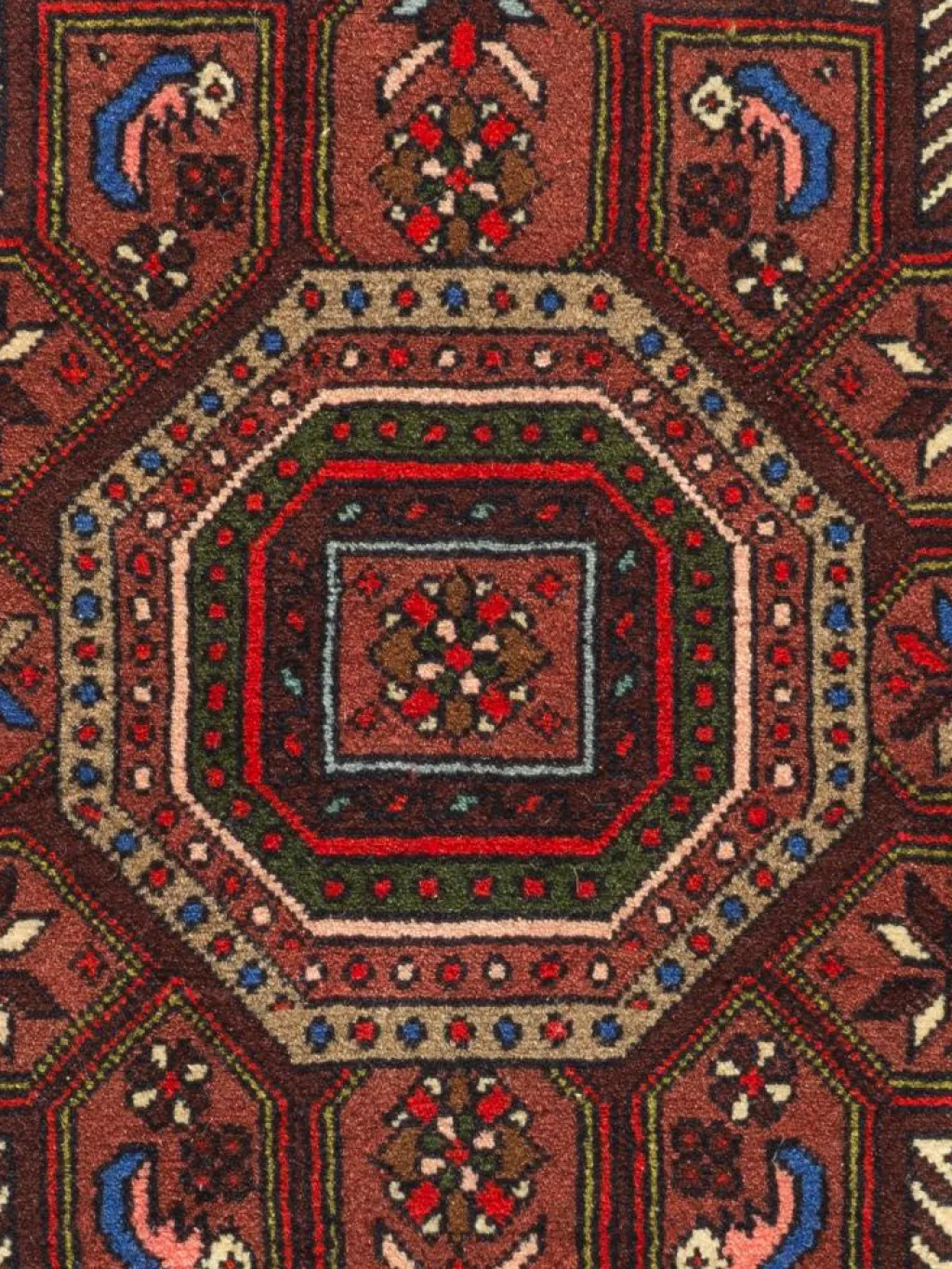 Goltogh|Kibek Online