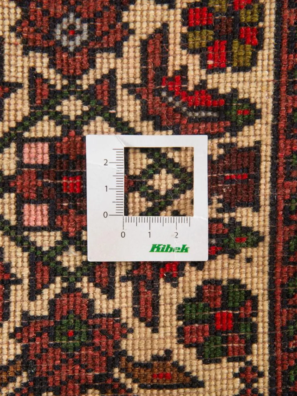 Goltogh|Kibek Online