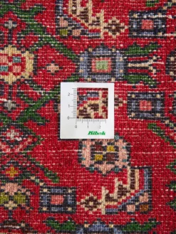 Hamadan|Kibek Clearance