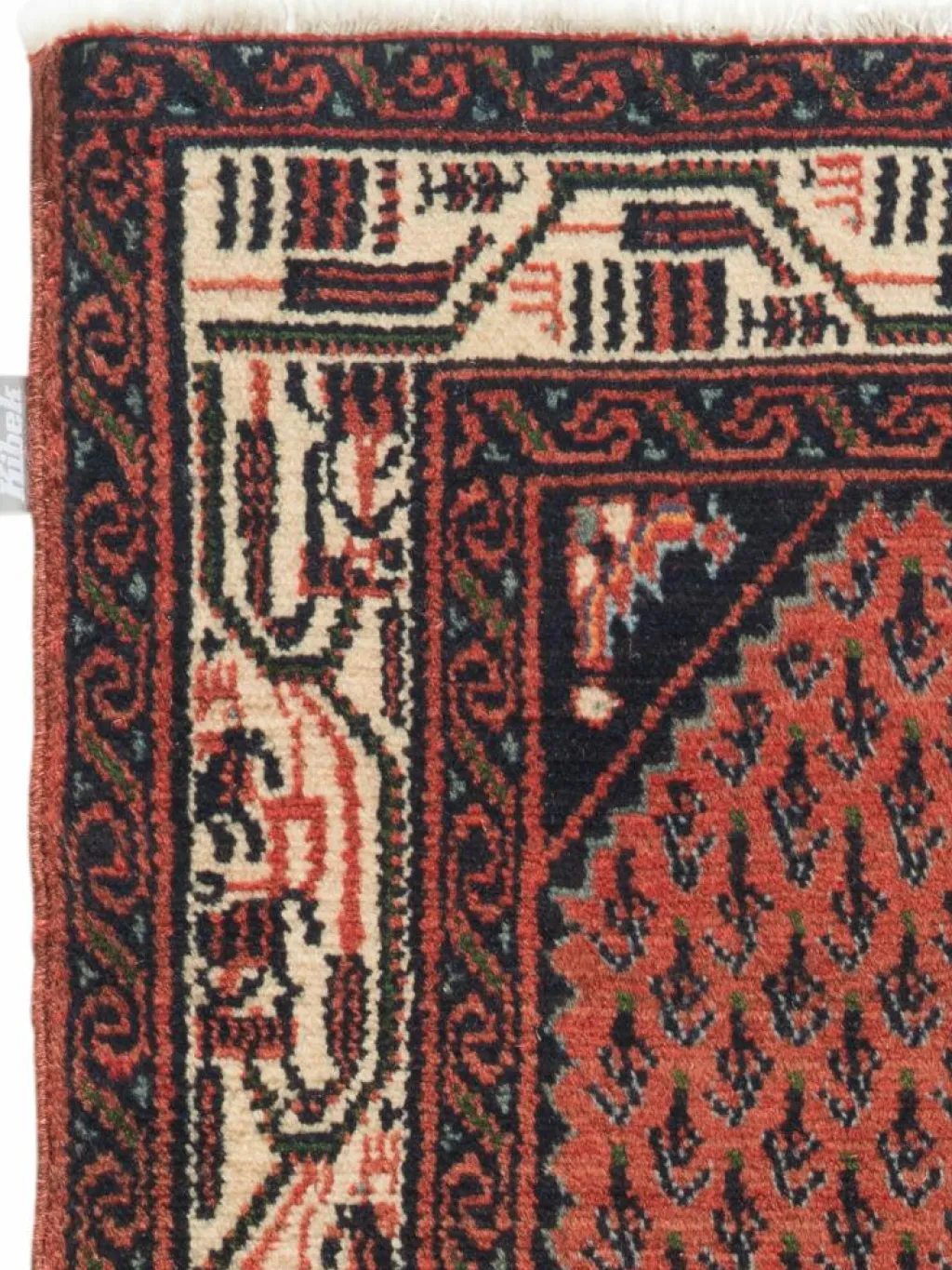 Hamadan|Kibek Clearance