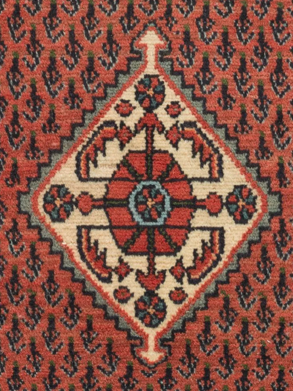 Hamadan|Kibek Clearance