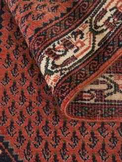 Hamadan|Kibek Clearance