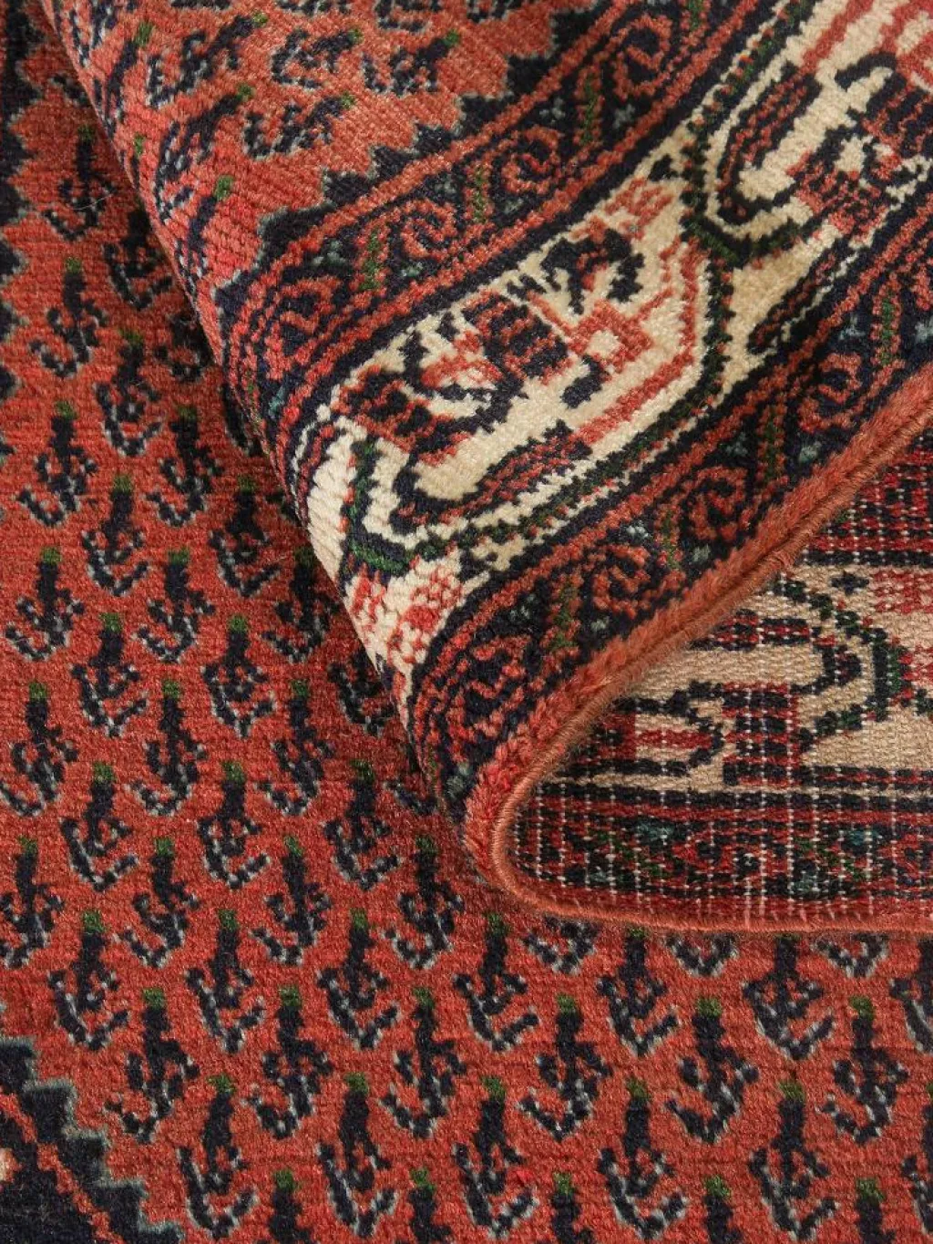 Hamadan|Kibek Clearance