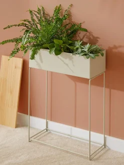 High Plants|Kibek Discount