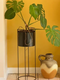 High Stand|Kibek Discount