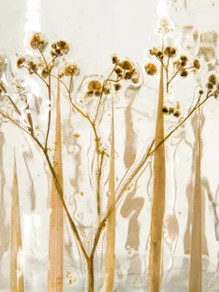 Junco|Kibek Discount