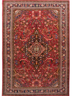 Kabutarahang Hamadan|Kibek Sale